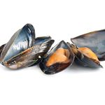 Lösung MUSSELS