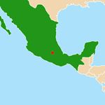 Réponse MEXICO CITY
