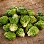 Lösung BRUSSEL SPROUTS