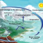 Lösung WATER CYCLE