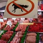 Risposta HORSE MEAT