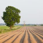 Lösung PLOUGHED