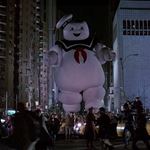 Answer STAY PUFT