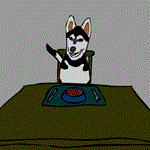 Respuesta DOG\'S DINNER