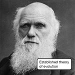 Lösung CHARLES-DARWIN