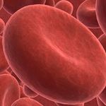 Respuesta RED BLOOD CELL