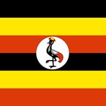 Risposta UGANDA