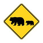 Answer MIGRATING BEARS