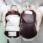 Risposta BLOOD BAG