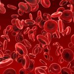 Réponse RED BLOOD CELLS