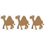 Réponse CAMELS