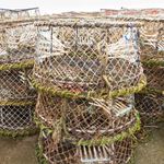 Answer LOBSTER POTS