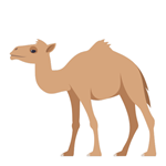 Respuesta CAMEL