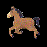 Risposta HORSE