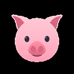 Risposta PIG