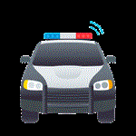 Respuesta POLICE CAR