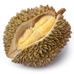 Answer DURIAN