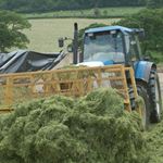 Answer SILAGE