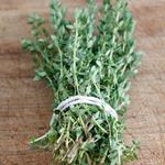 Answer THYME