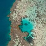 Answer BARRIER REEF
