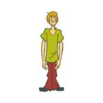 Answer SHAGGY ROGERS