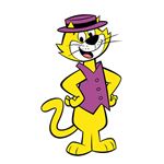Answer TOP CAT