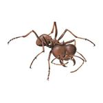 Answer LEAFCUTTER ANT