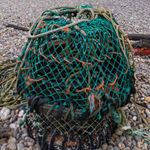 Answer LOBSTER POT