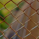 Answer CHAIN LINK