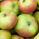 Answer COX APPLES