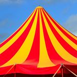 Answer CIRCUS TENT
