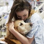 Answer THERAPY DOG