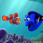 Answer FINDING NEMO