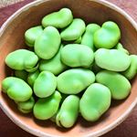 Answer BROAD BEANS