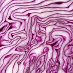 Answer RED CABBAGE