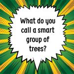 Answer A BRAIN FOREST