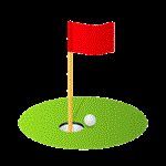 Answer HOLE IN ONE