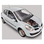 Answer RENAULT CLIO