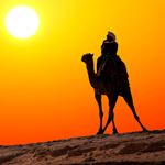 Réponse RIDE A CAMEL