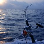 Réponse DEEP SEA FISHING