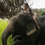 Réponse RIDE AN ELEPHANT