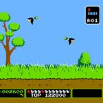 Answer DUCK HUNT